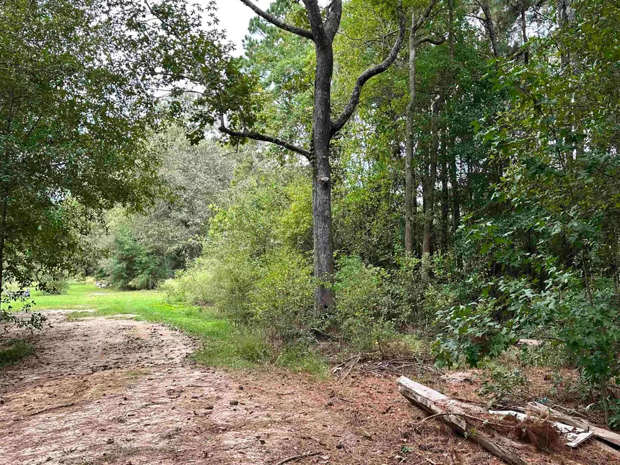 620 CR 4880, Fred, TX 77616 - #2