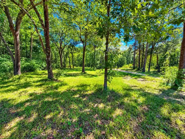 20275 FM 770, Saratoga, TX 77585