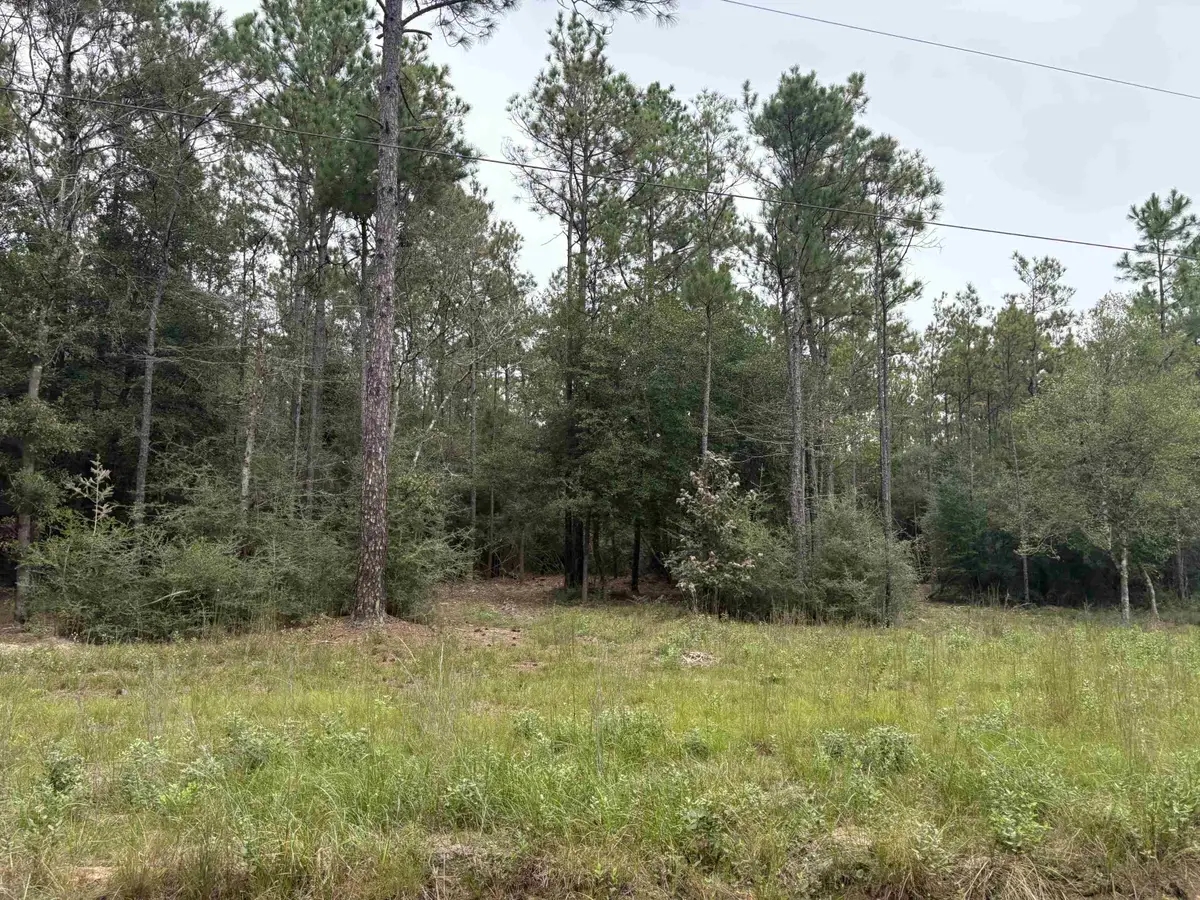8250 Whispering Pines, Lumberton, TX 77657 - #1