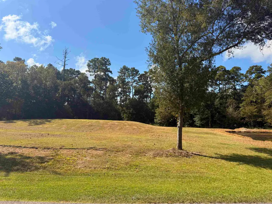 1301 Lakeview, Sour Lake, TX 77659 - #3