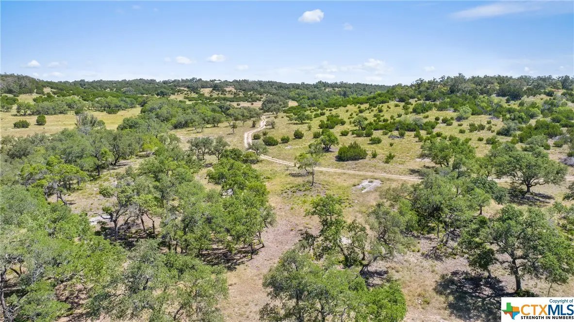 Tract 12 Lewdele Lane, Blanco, TX 78671 - #1