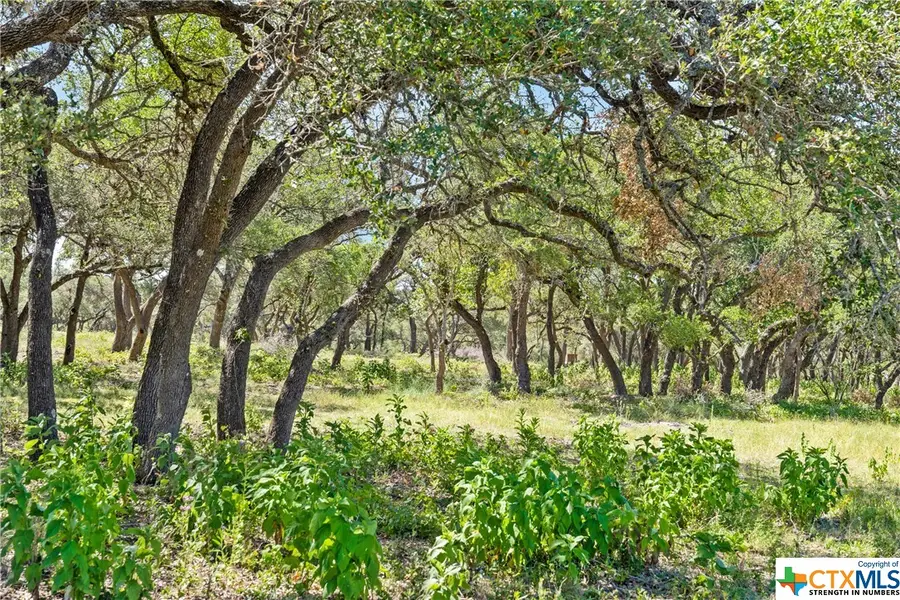 Tract 12 Lewdele Lane, Blanco, TX 78671 - #2