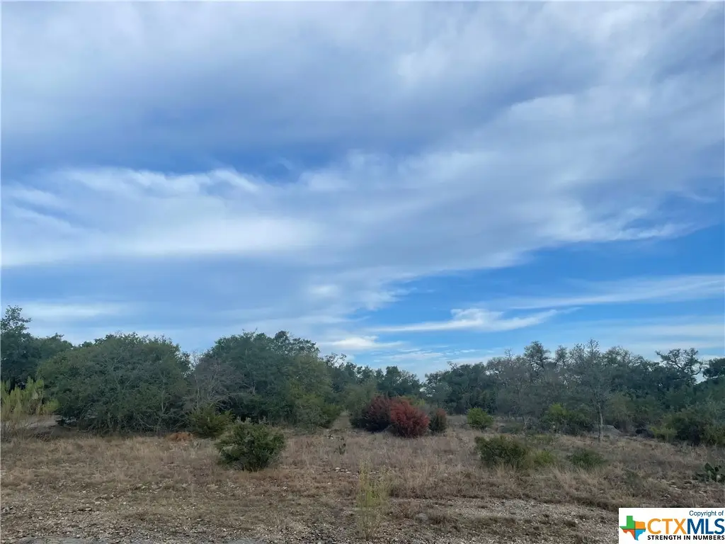 308 Copper Crest, New Braunfels, TX 78132 - #1