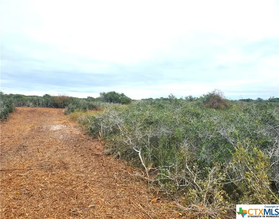"C" Carabajal Road, Seadrift, TX 77983 - Image #2