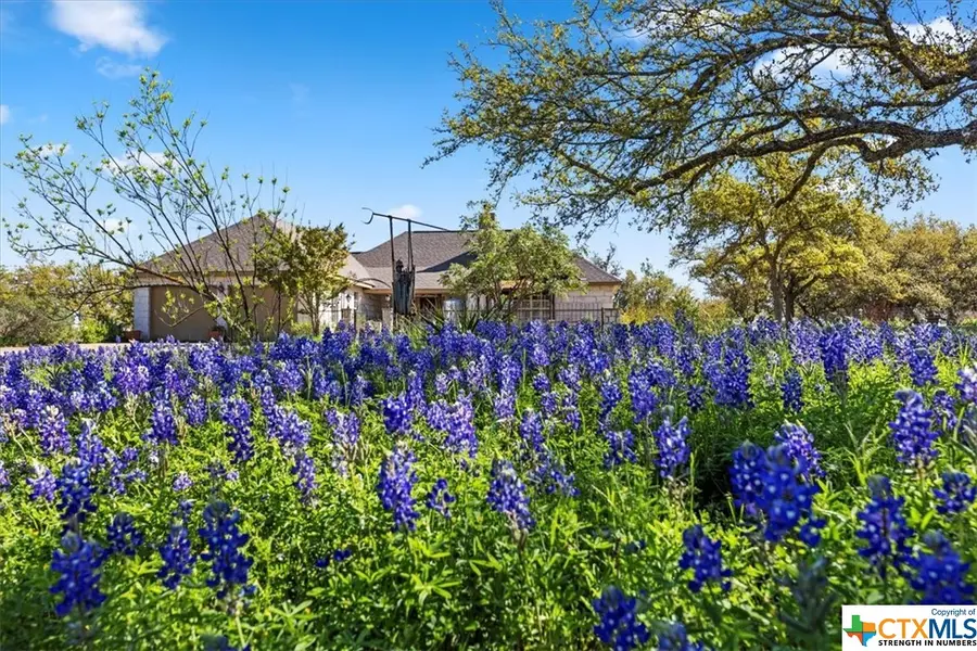 300 Logans Way, Blanco, TX 78606 - #2