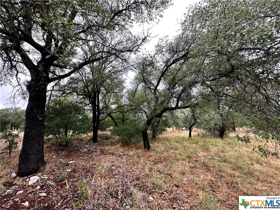 820 Mountain Dew, Horseshoe Bay, TX 78657 - #2