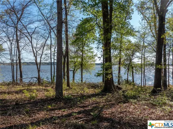 3108 Shadow Pine Drive, Larue, Other, TX 75770