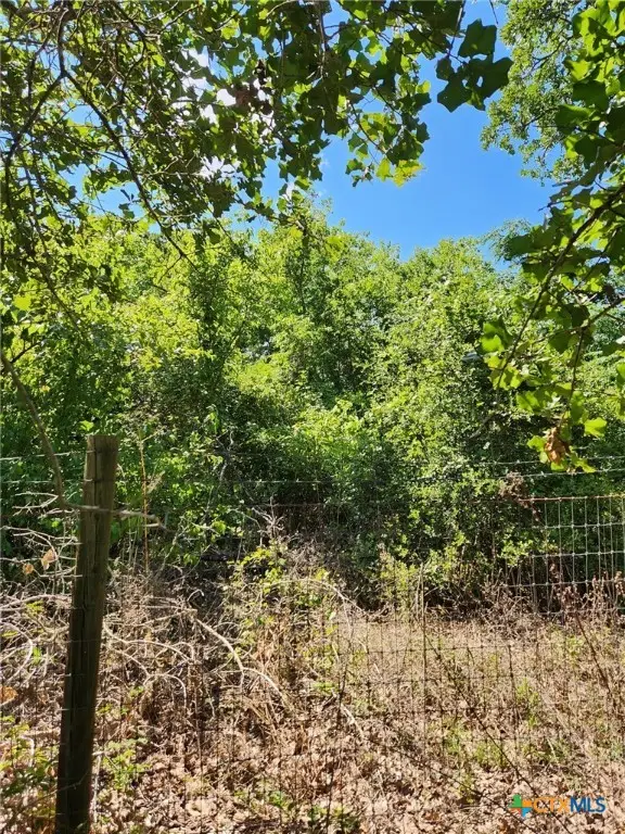 TBD Flaming Oak Drive, Bastrop, TX 78602 - Image #3