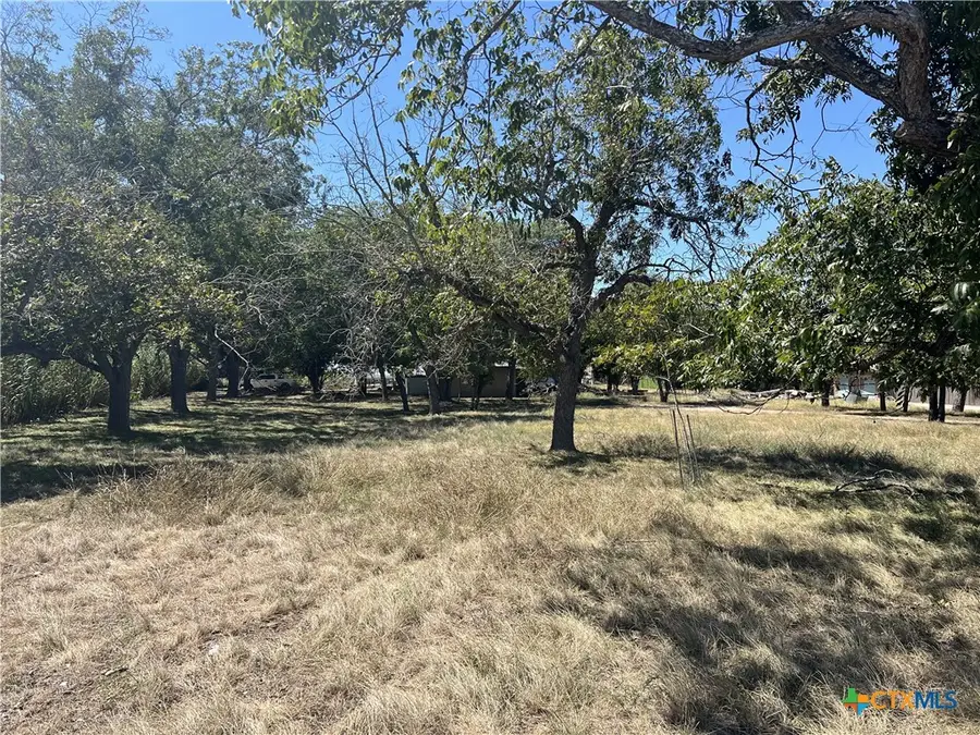 415 N Hickory Avenue, New Braunfels, TX 78130 - #3