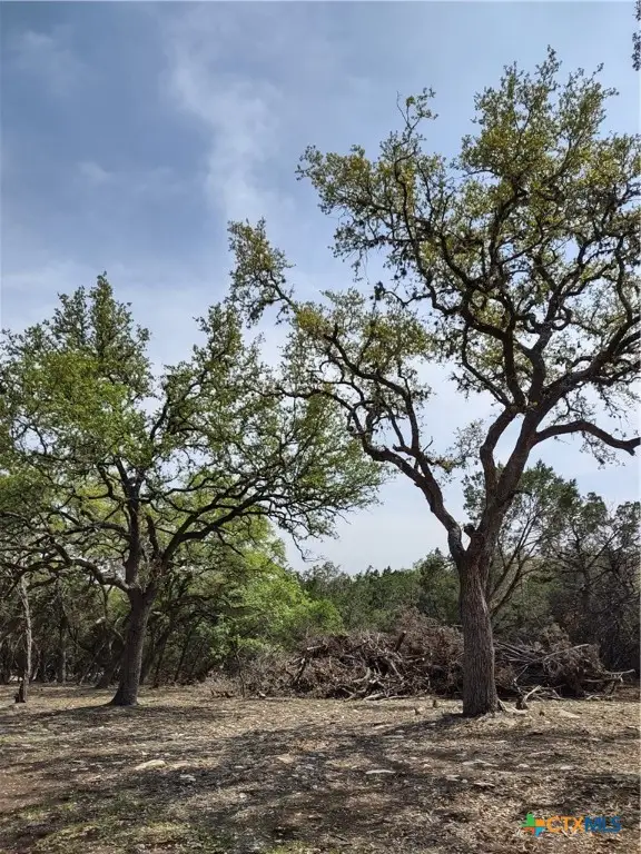 549 Cannan Road, Canyon Lake, TX 78132 - Image #3