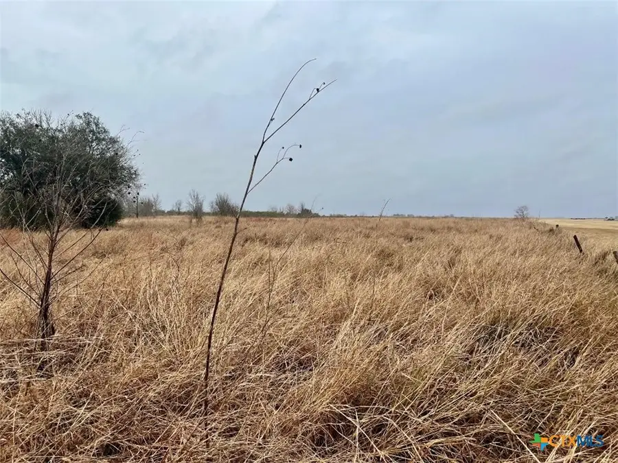 08 County Road 319, Edna, TX 77957 - #3