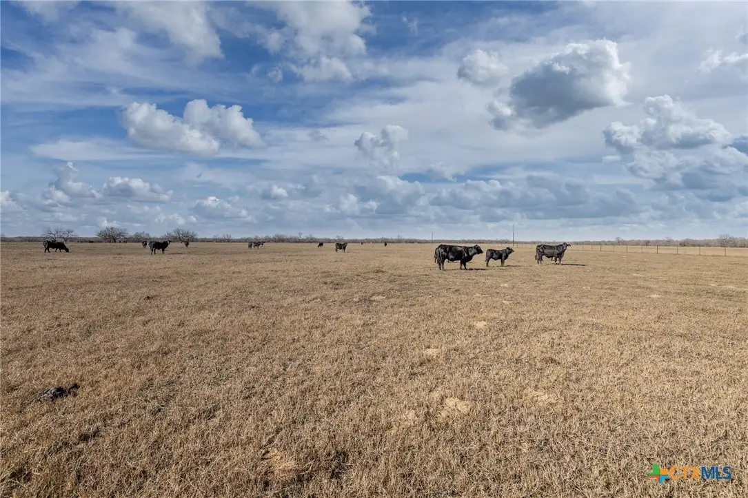 Address Withheld By Seller, Nixon, TX 78140 - Image #1