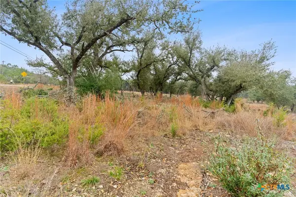 301 Lonesome Trail, Driftwood, TX 78619