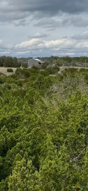 3679 Duderstadt Road, Harper, TX 78631 - Image #2