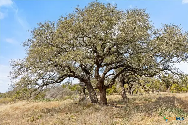 727 Becker Rd, Johnson City, TX 78636