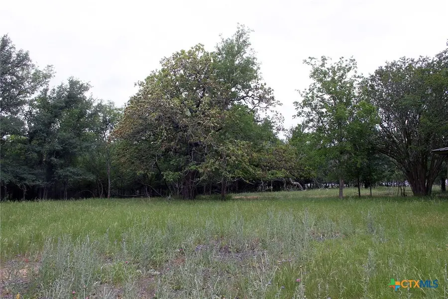 7887 Pettytown Road, Red Rock, TX 78662 - #2
