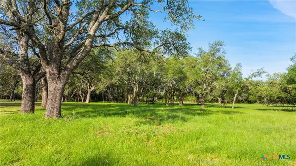 Lot 7 Morning Dew Drive, Round Mountain, TX 78663