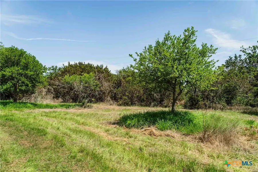 TBD County Road 203, Burnet, TX 78611 - #2