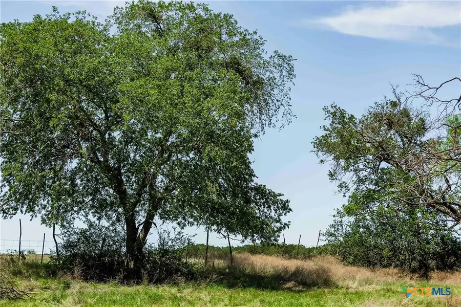 TBD County Road 203, Burnet, TX 78611 - #3