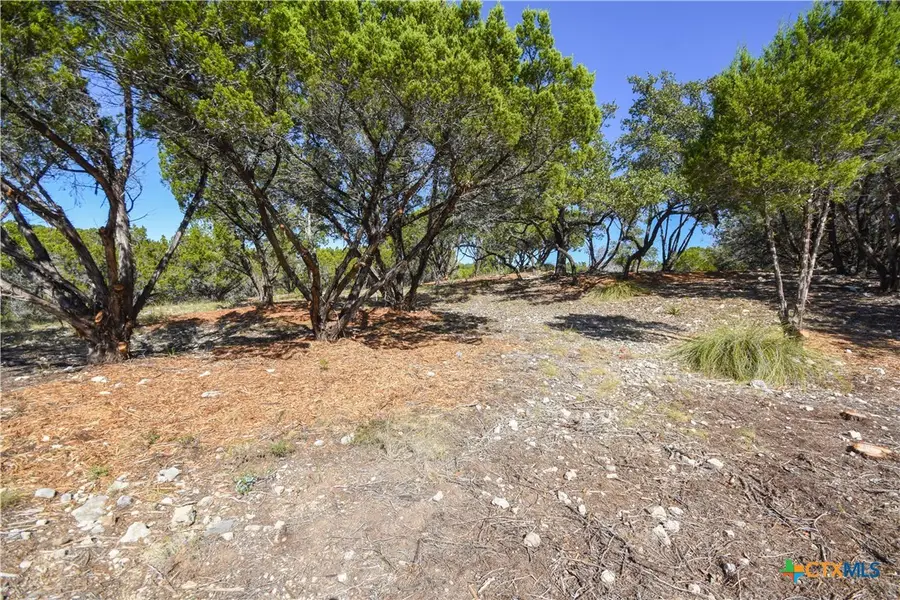 20008 Charlestown Cove, Lago Vista, TX 78645 - Image #2