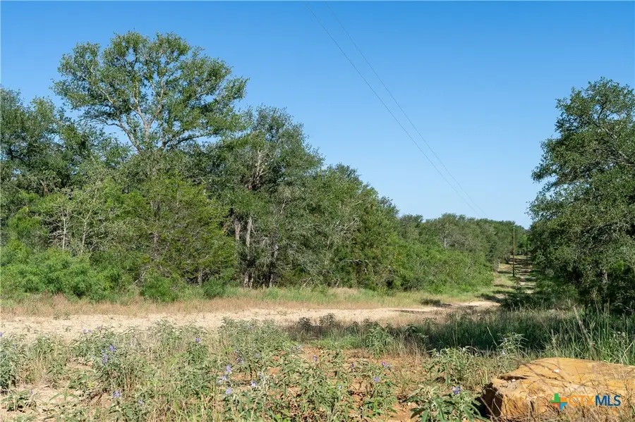 995 Carter Road, Dale, TX 78616 - #2