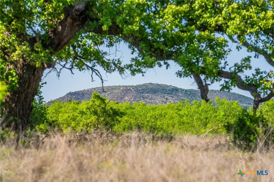 5230 County Road 409, Llano North, TX 76885 - #3