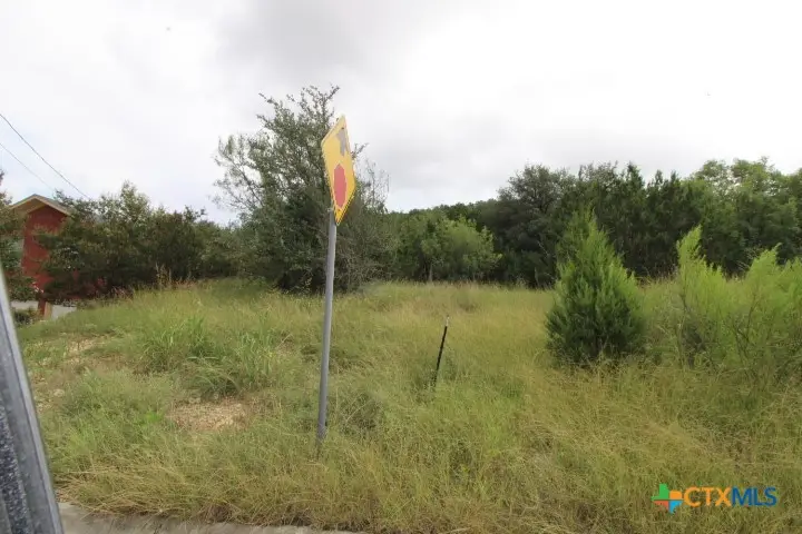 2305 Phyllis Drive, Copperas Cove, TX 76522 - Image #3