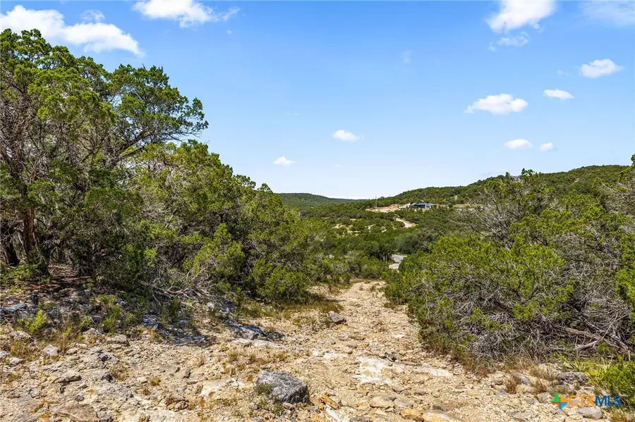 10692 Deer Canyon Road, Jonestown, TX 78645 - #3