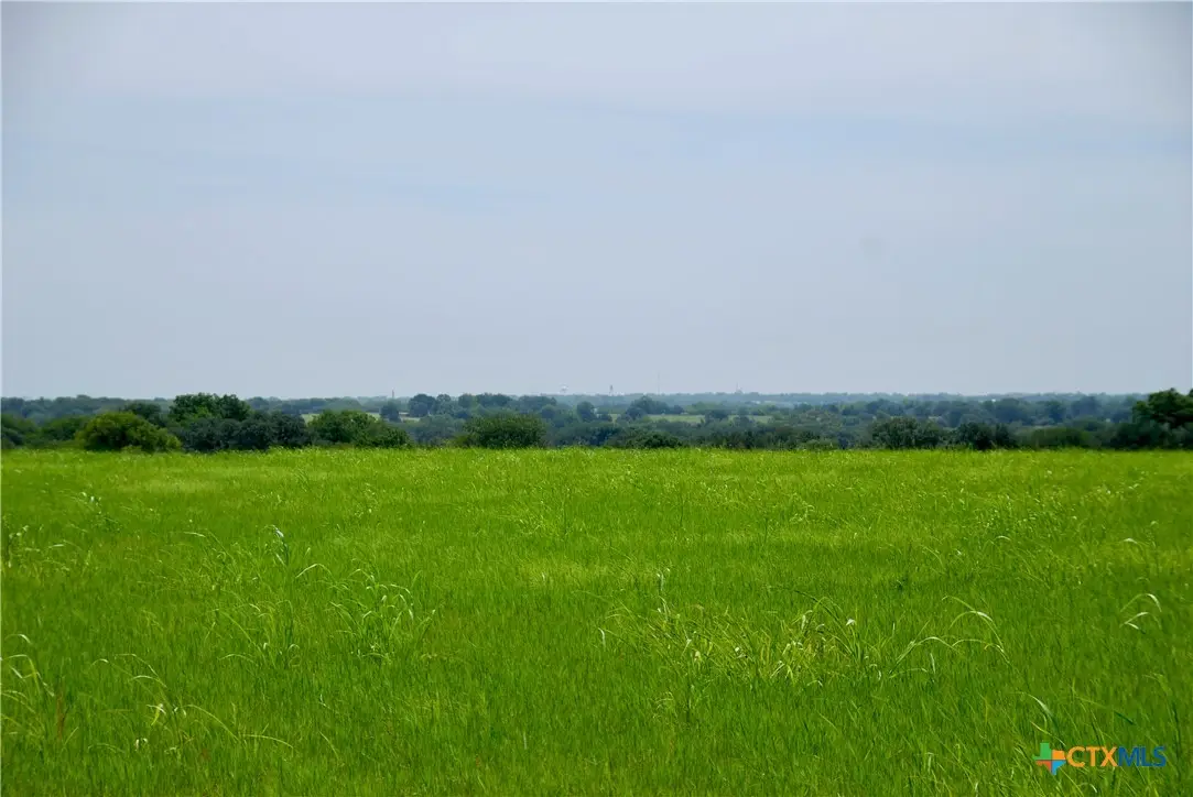 Tract 4 Company Field Road, Schulenburg, TX 78956 - #1