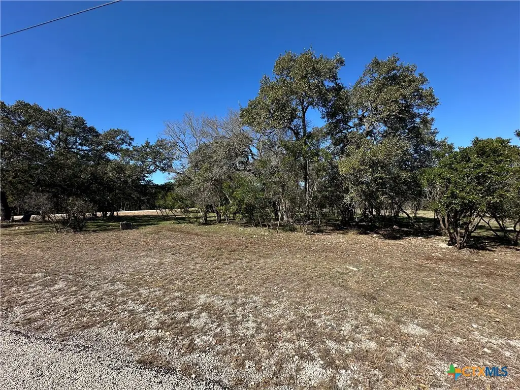 821 Wild Turkey Run, New Braunfels, TX 78132 - Image #1