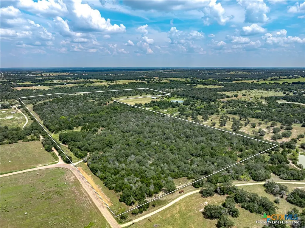 10842 Rauch Road, Ledbetter, TX 78946 - Image #1