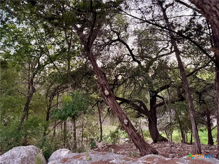 1043 Summit Bluff, Canyon Lake, TX 78133 - #2