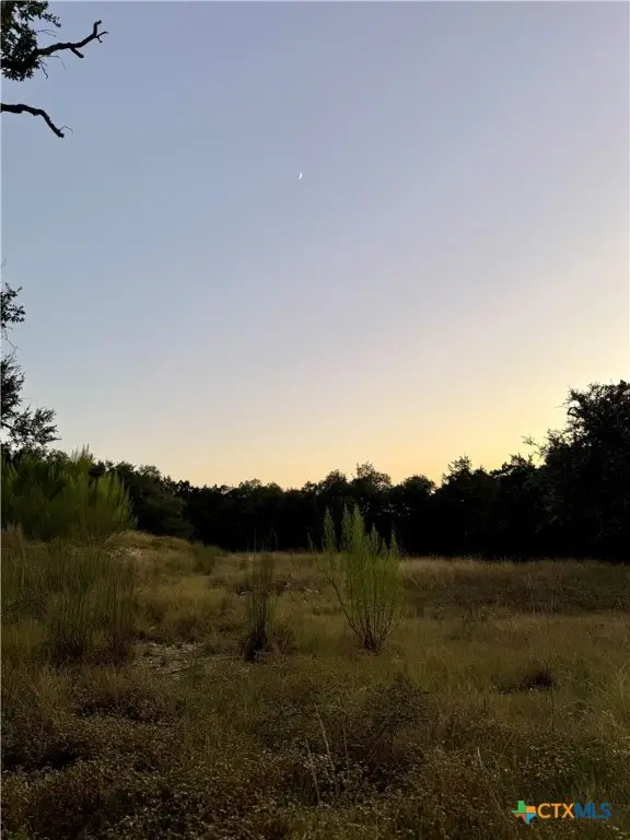 1043 Summit Bluff, Canyon Lake, TX 78133 - #3