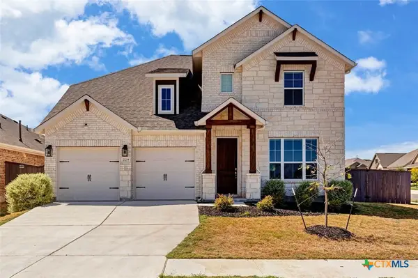 229 Golden Gate Lane, Kyle, TX 78640