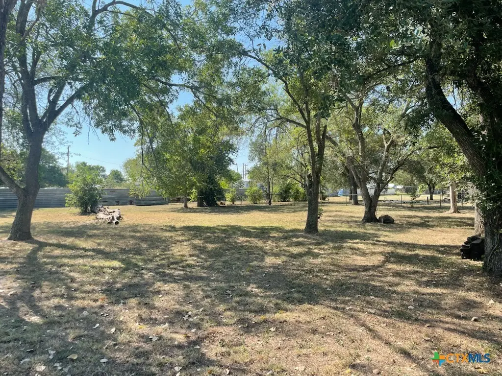 1125 San Marcos Highway, Luling, TX 78648 - #1