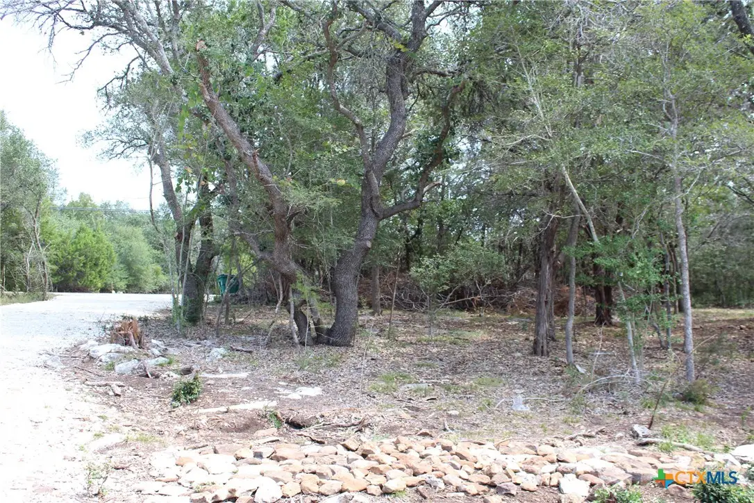 151 Eden Ranch Drive, Canyon Lake, TX 78133 - #1