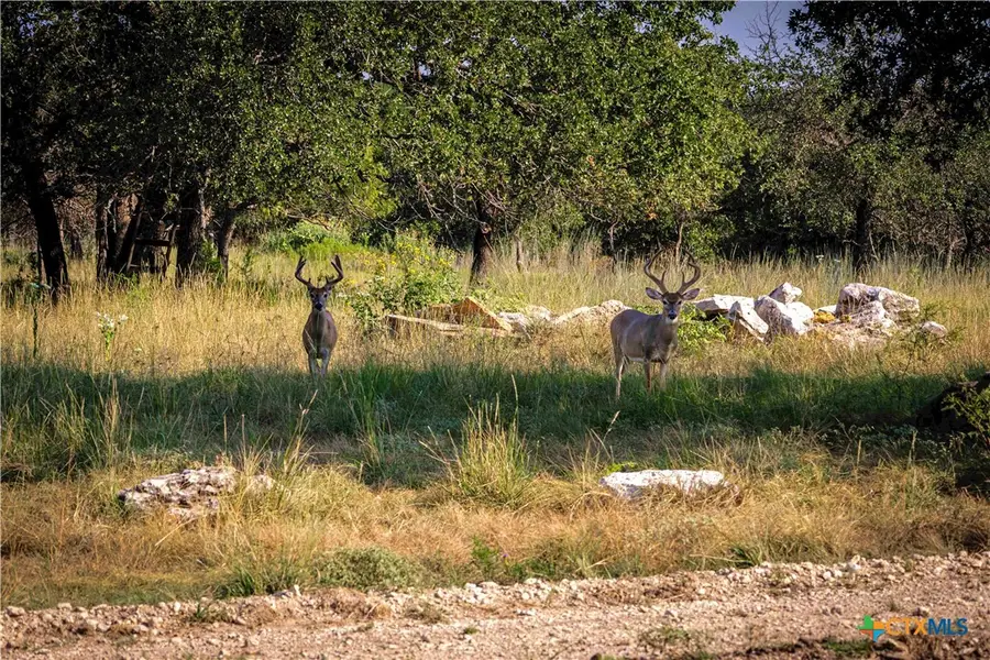 1782 Fm 218, Hamilton, TX 76531 - Image #3