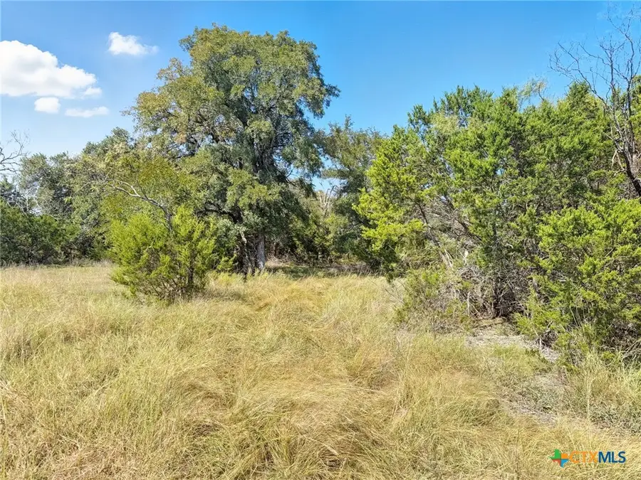 Lot 2 Ph 3 Pr 42110, Evant, TX 76525 - #2