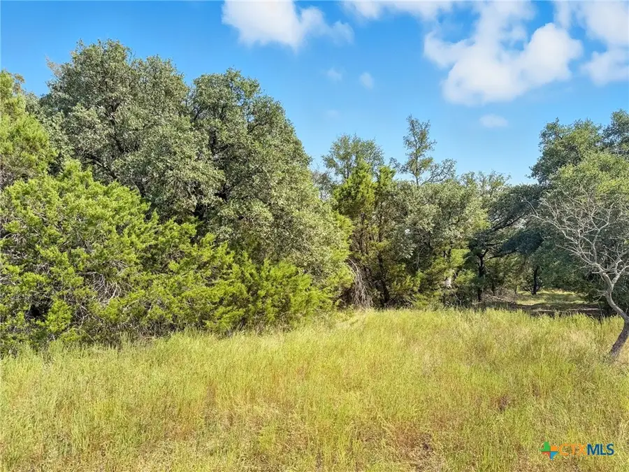 Lot 2 Ph 3 Pr 42110, Evant, TX 76525 - #3