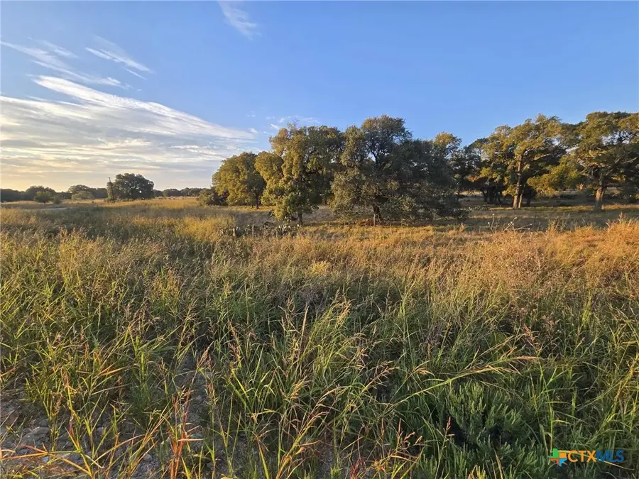 317 Yellowstone Drive, Oglesby, TX 76561 - Image #2