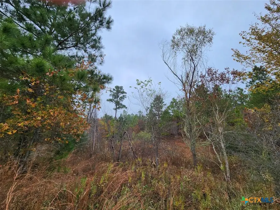 TBD Mahalo Court, Bastrop, TX 78602 - Image #2