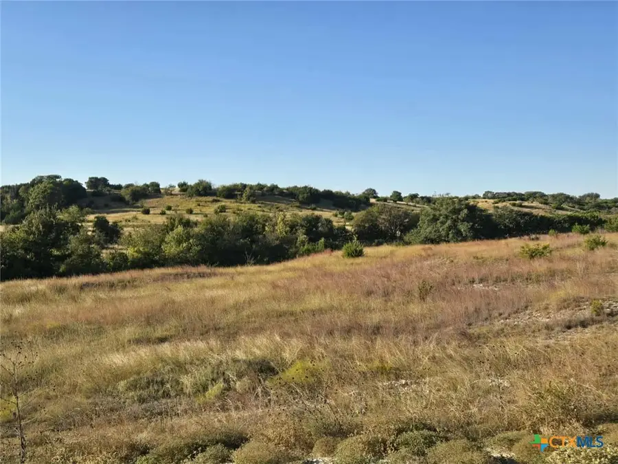 229 Grand Canyon Drive, Oglesby, TX 76561 - Image #3