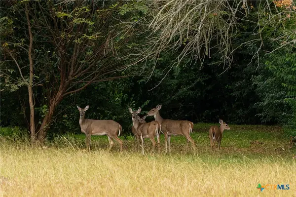 TBD Horseshoe Bend Road, Eddy, TX 76524