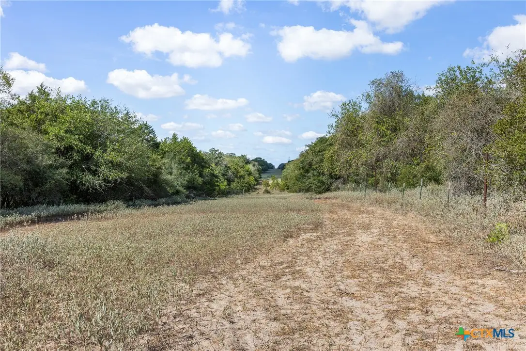 2025 Mule Creek Road, Harwood, TX 78632 - Image #1