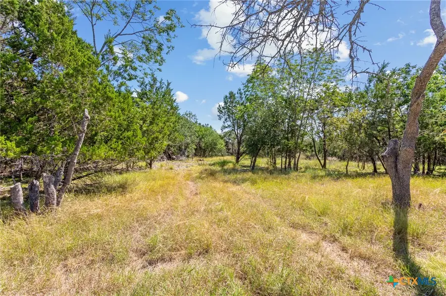 8390 Mountain Drive, Salado, TX 76571 - Image #3