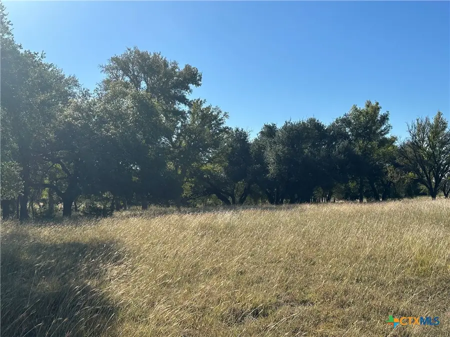 1444 County Road 529, Evant, TX 76525 - Image #3