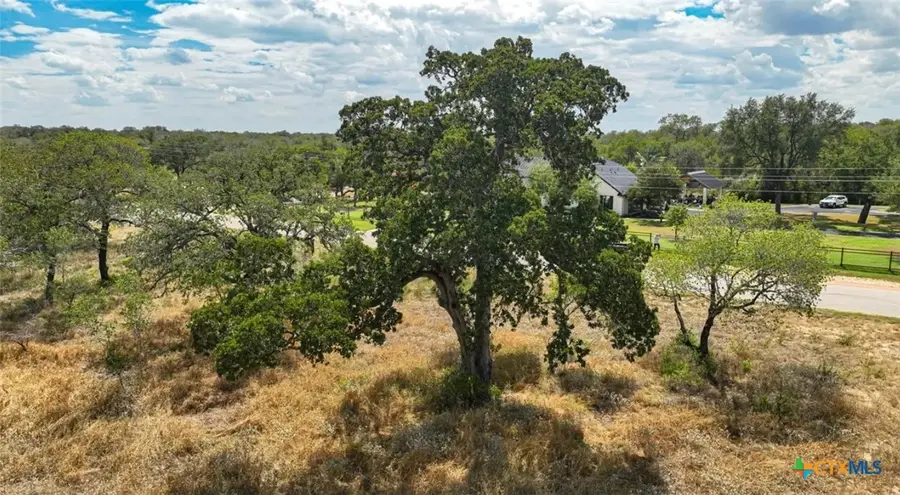 205 Trophy Lane, Poteet, TX 78065 - Image #3