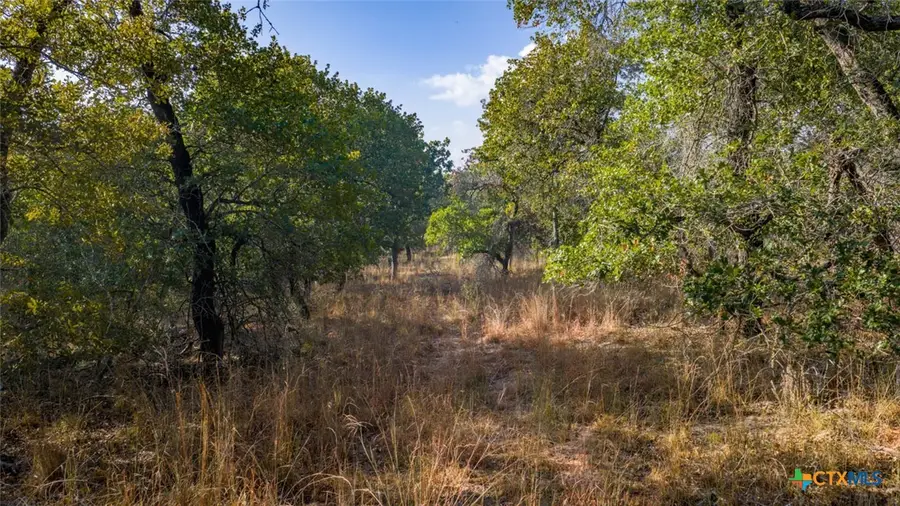 Tract 17 & 18 Sandstone Ln, Seguin, TX 78155 - Image #2