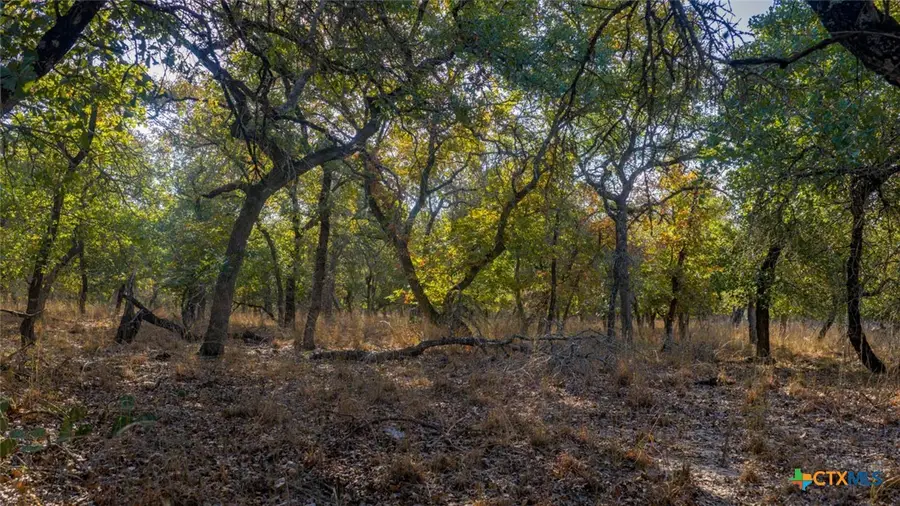 Tract 17 & 18 Sandstone Ln, Seguin, TX 78155 - Image #3