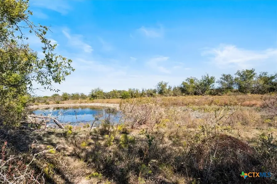 TBD-82.6 Acres Farm Market 221, Hamilton, TX 76531 - #2